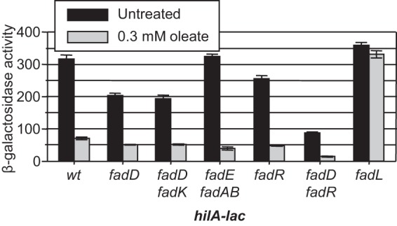 FIG 3 