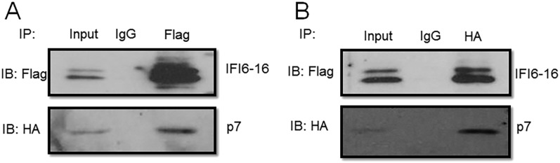 Fig. S7.