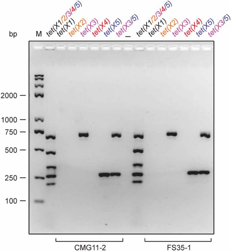 Figure 5.