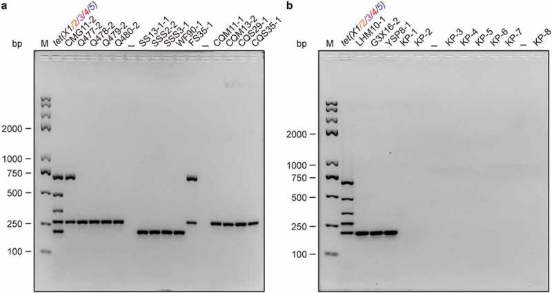 Figure 4.