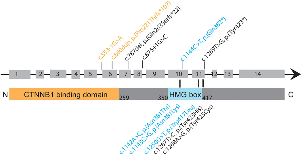 Figure 1: