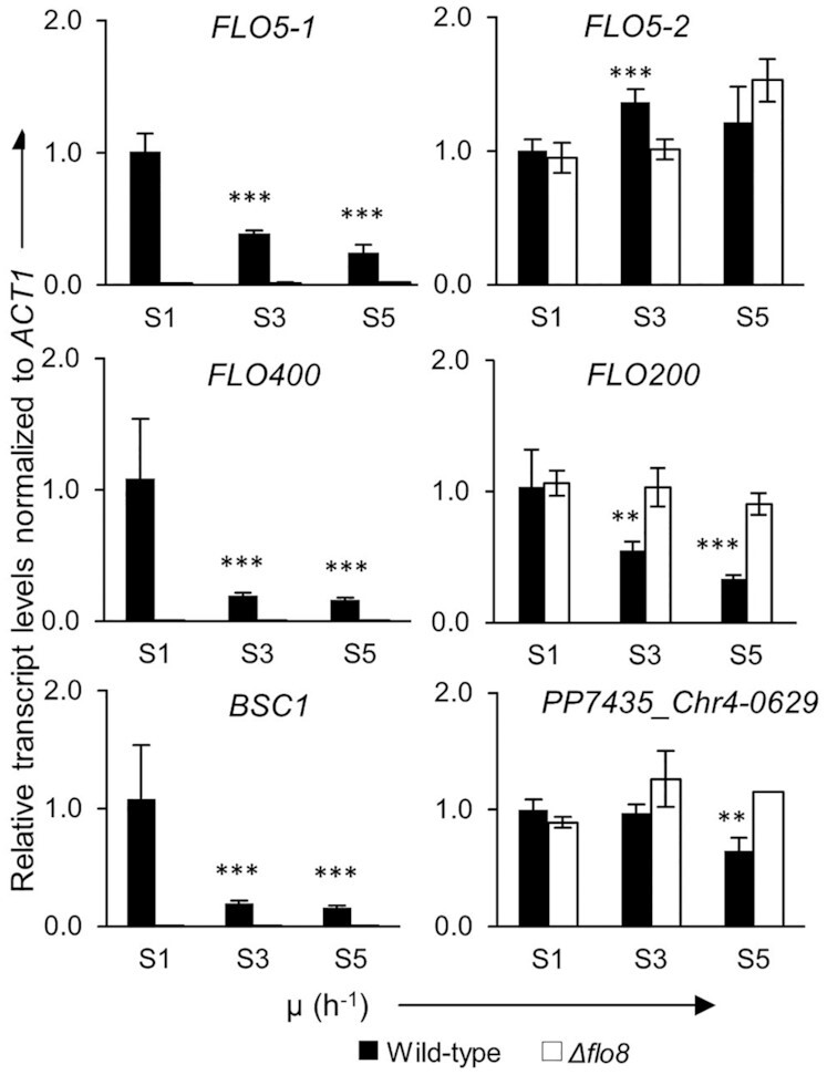 Figure 5.