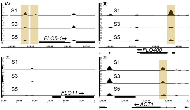 Figure 6.