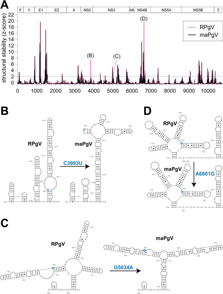 Fig 6