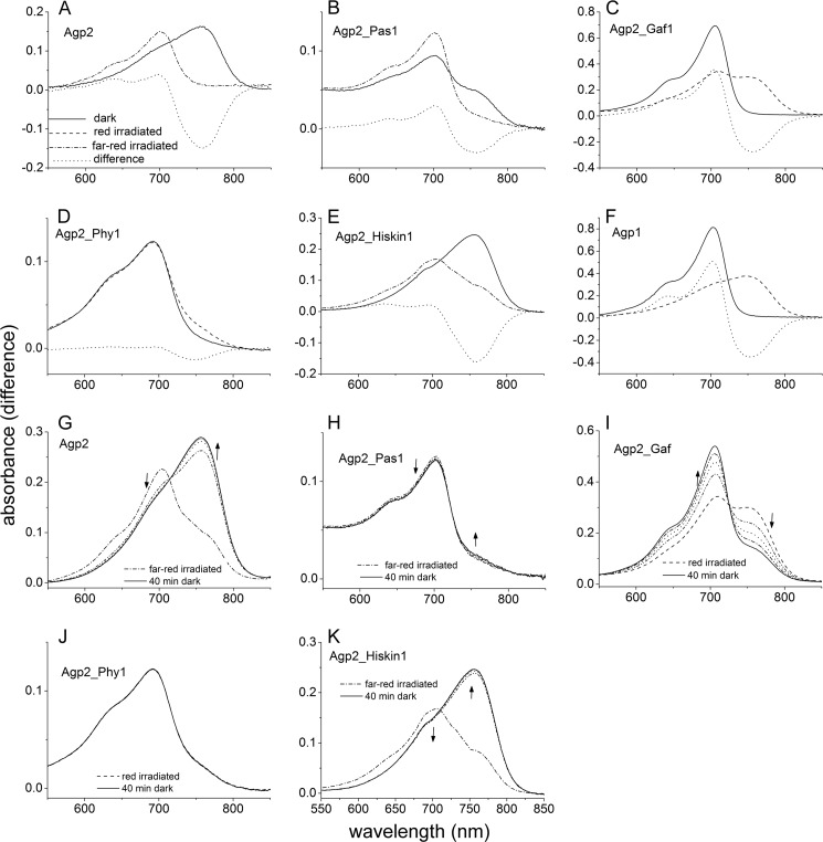 FIGURE 6.