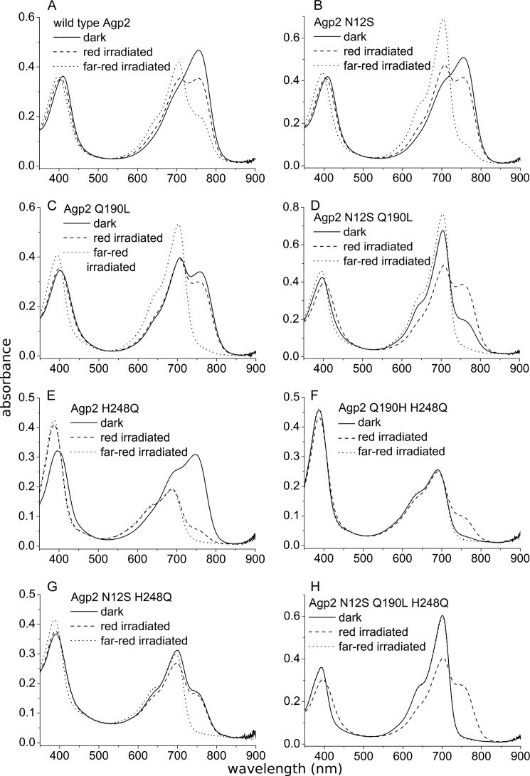 FIGURE 7.