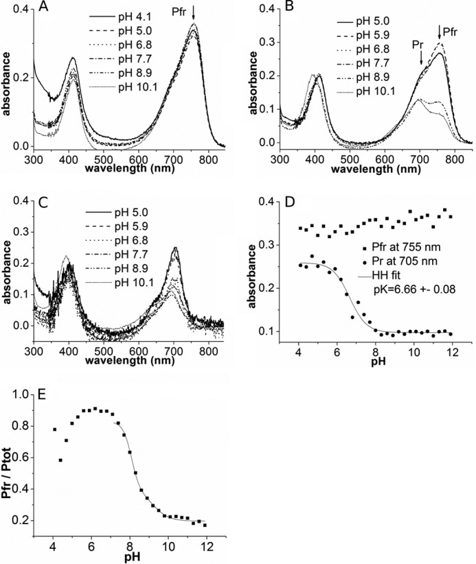 FIGURE 3.