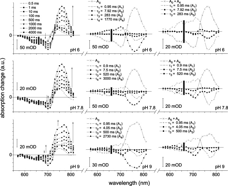 FIGURE 4.