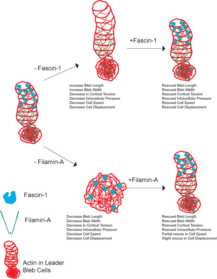 FIGURE 7: