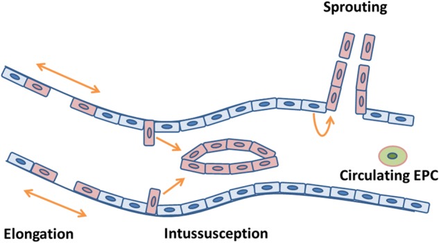 Figure 1