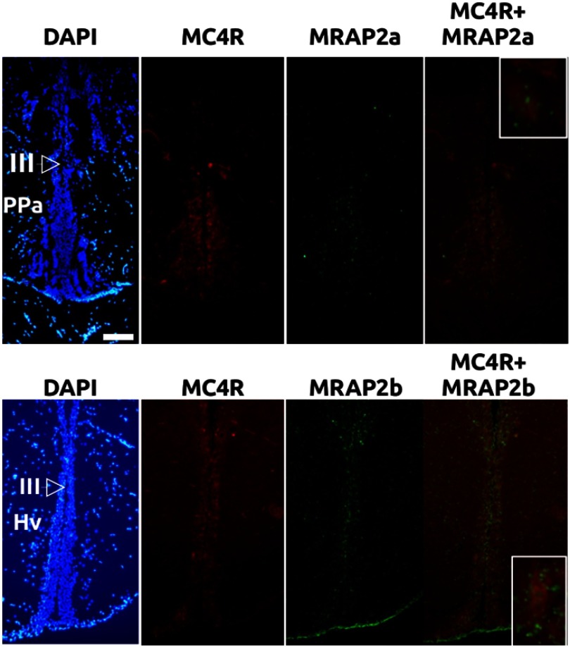 Figure 2.