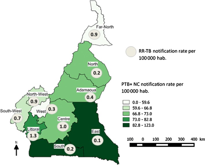 Fig. 1