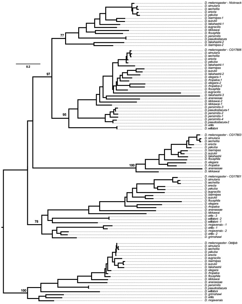 Figure 2—figure supplement 1.