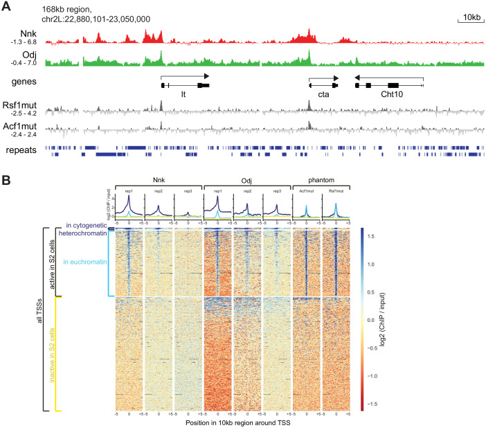 Figure 5—figure supplement 3.