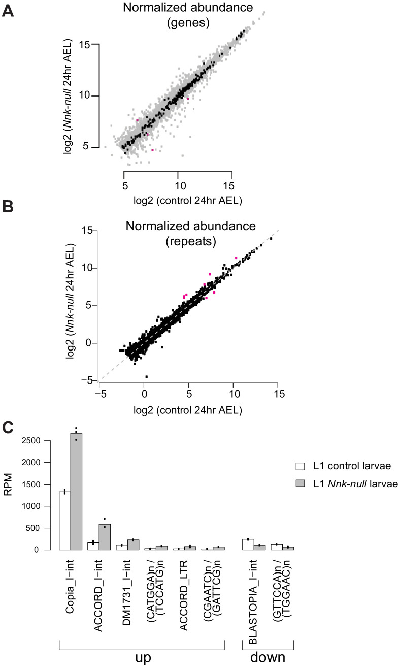 Figure 5—figure supplement 4.