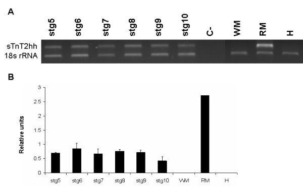 Figure 7