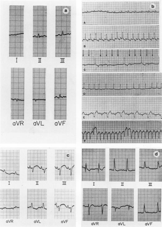 Text-Figure 2