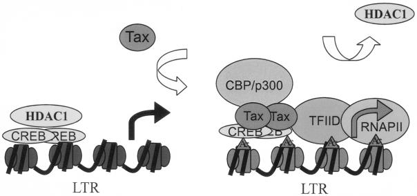 FIG. 7.