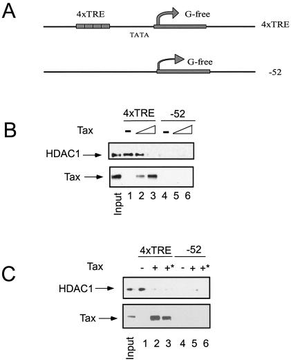 FIG. 6.