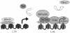 FIG. 7.