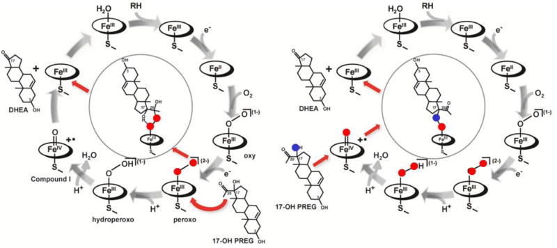 Scheme 3