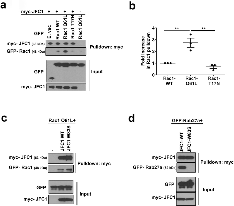 FIGURE 5: