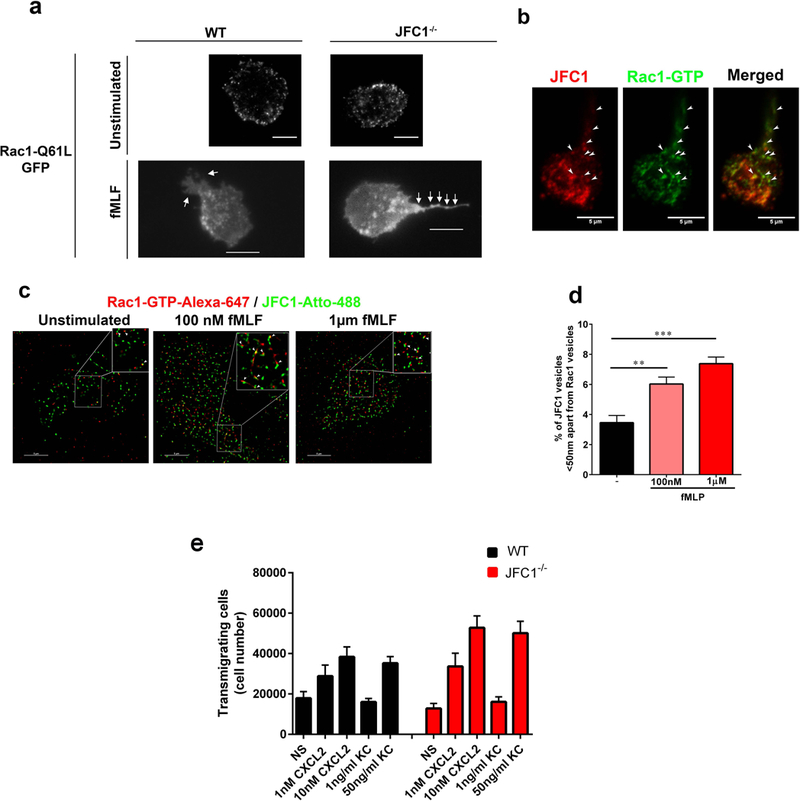 FIGURE 4: