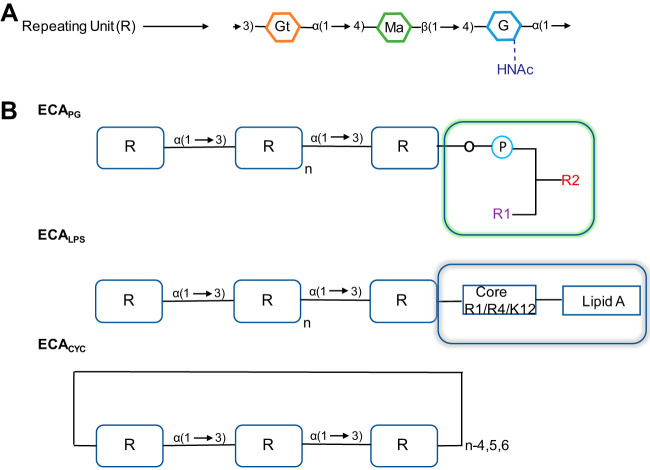 FIG 1