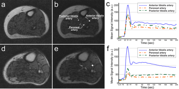 Figure 1 –