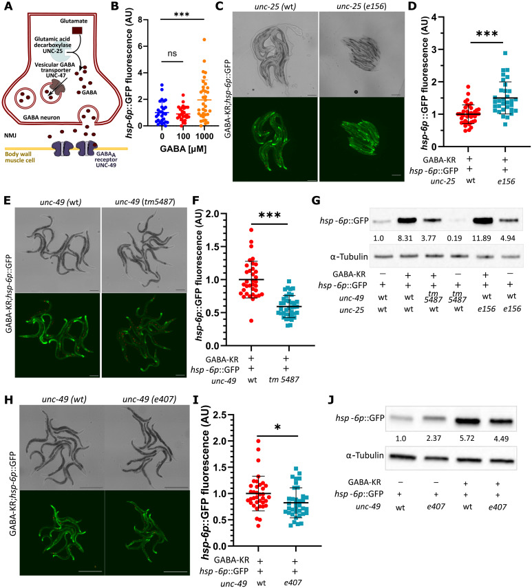 Fig. 4.