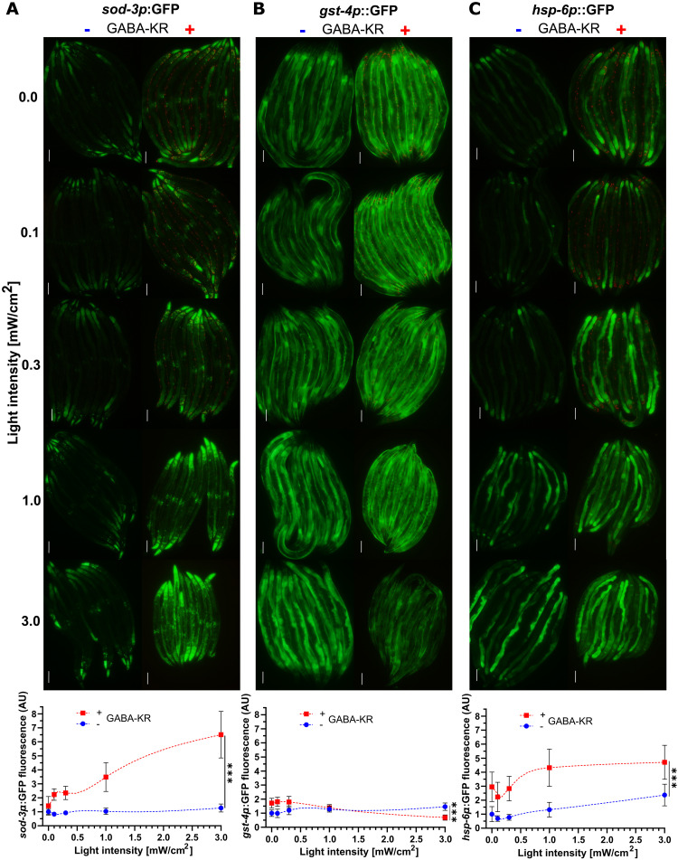 Fig. 2.