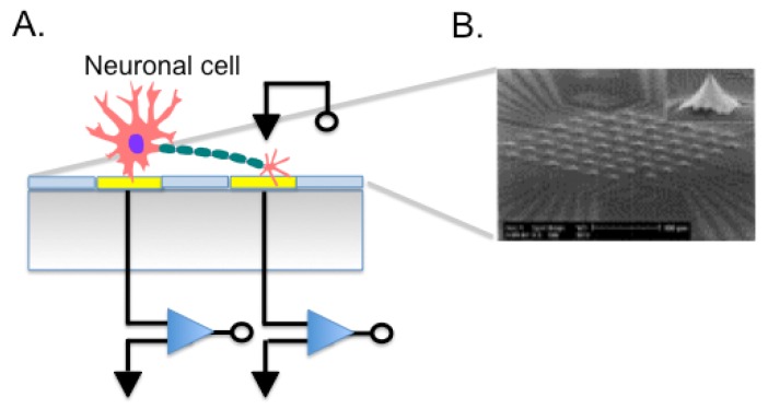 Figure 5.