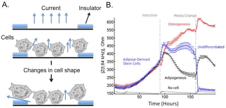 Figure 6.