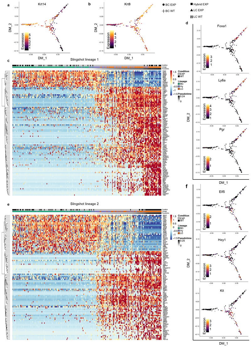 Extended Data Fig. 7