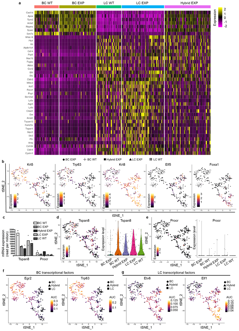 Extended Data Fig. 6