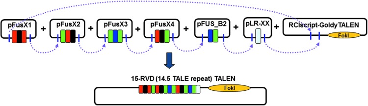 Figure 3.