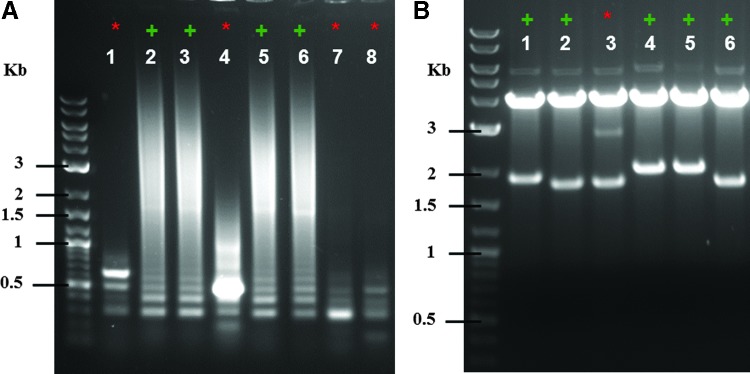 Figure 4.