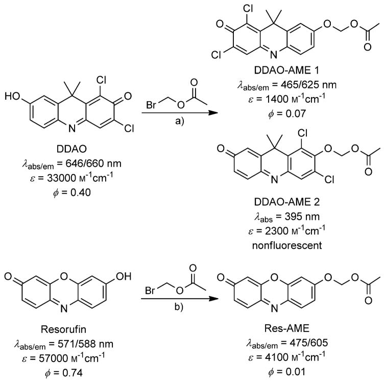 Scheme 2