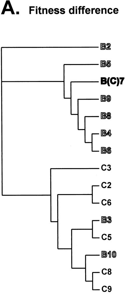 FIG. 8.