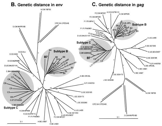 FIG. 8.