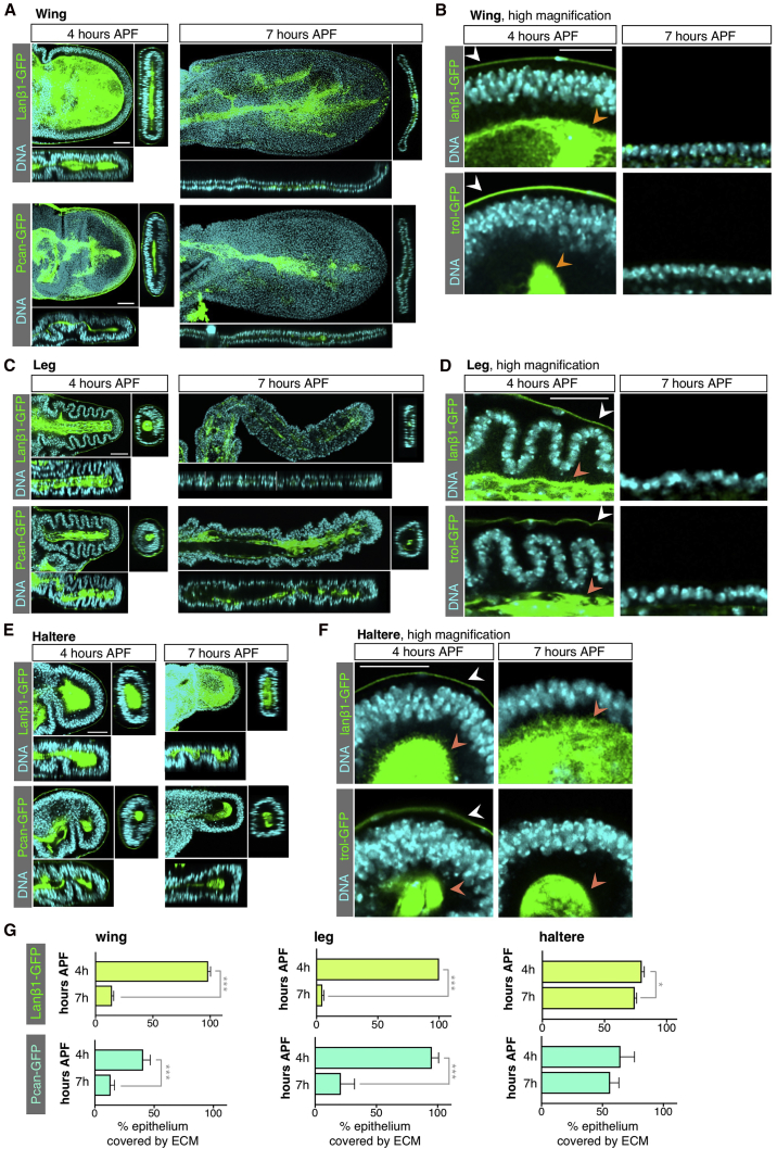 Figure 6