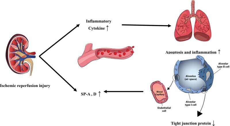 Fig 7