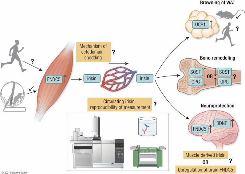 Graphical Abstract