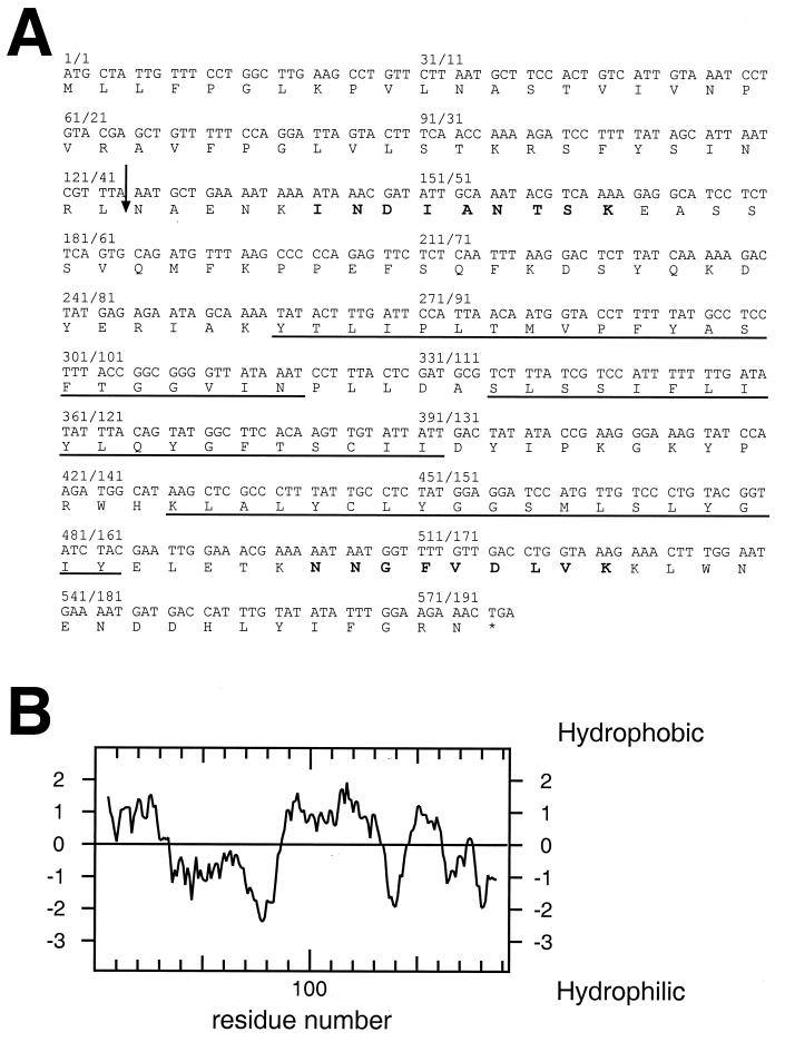 FIG. 1