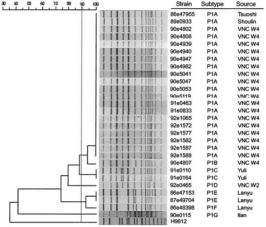 FIG. 2.