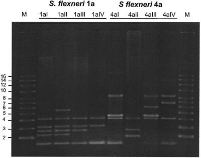 FIG. 4.