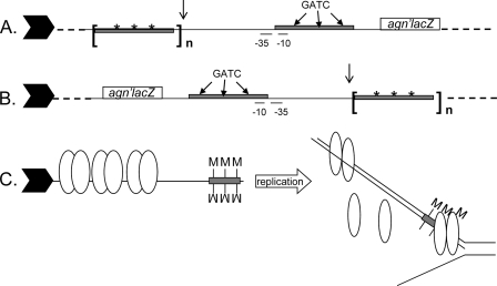 FIG. 4.