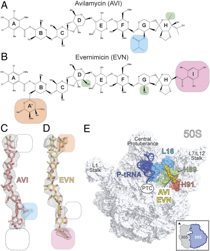 Fig. 1.