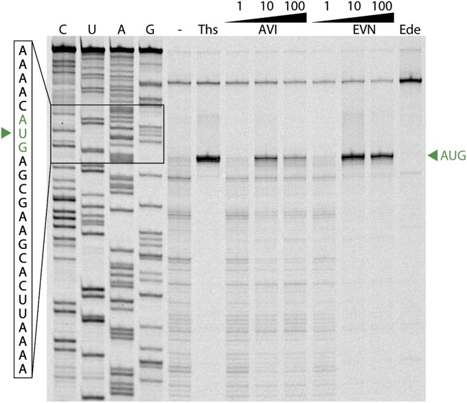 Fig. S6.