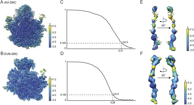 Fig. S1.